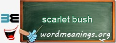 WordMeaning blackboard for scarlet bush